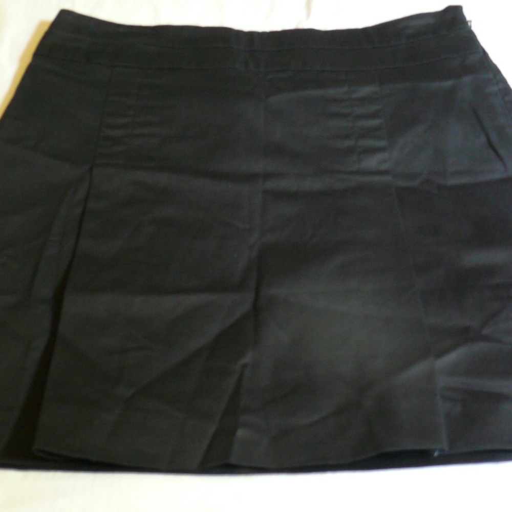 Banana Republic Pleated Skirt